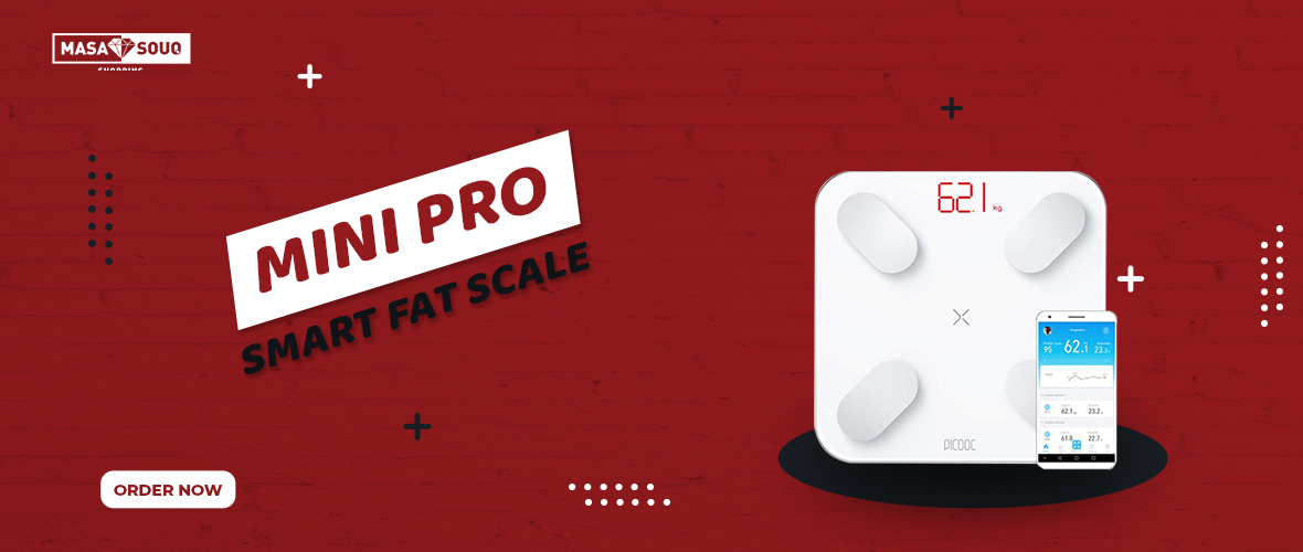 SMART FAT SCALE
