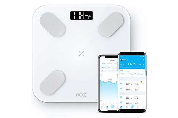 S1 PRO SMART FAT SCALE